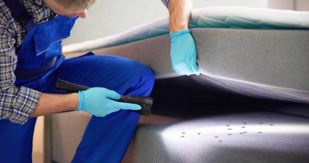 Best Residential Pest Control  in Progreso, TX