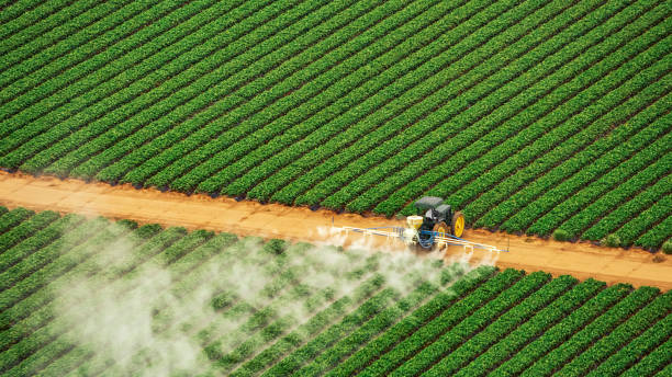 Best Mosquito Control Services  in Progreso, TX