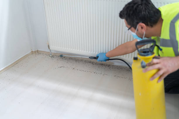 Best Pest Inspection Near Me  in Progreso, TX