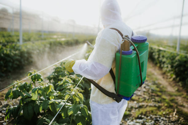 Professional Pest Control in Progreso, TX